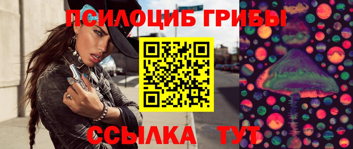 Псилоцибиновые грибы Psilocybe  Вход с VPN  Галлюциногенные грибы мухоморы  Миасс 